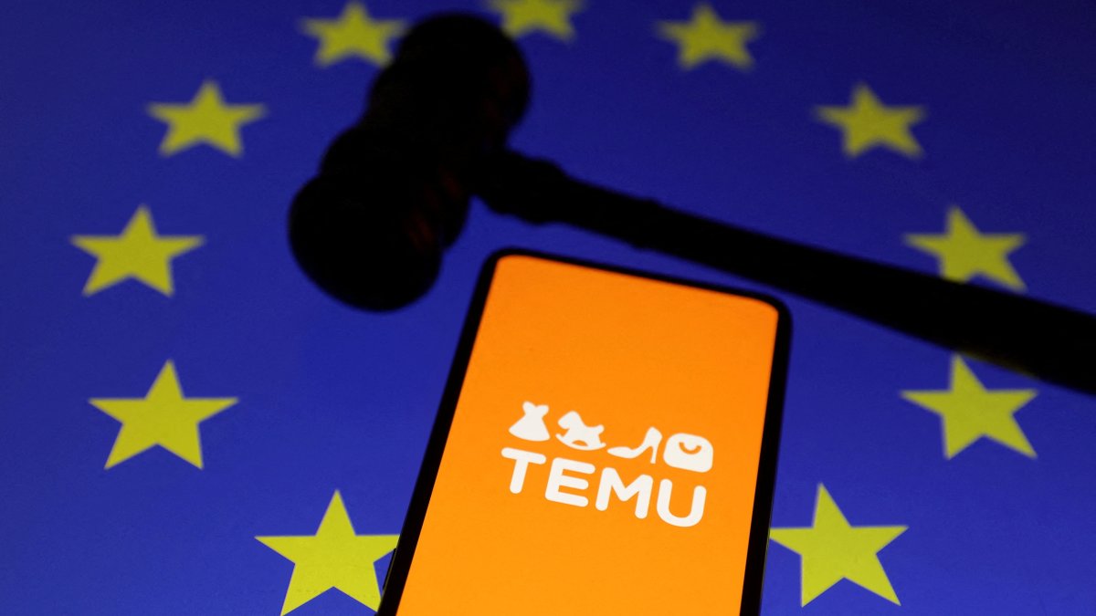 Temu logo, a gavel and the European Union's flag are seen in this illustration taken Nov. 4, 2024. (Reuters Photo)