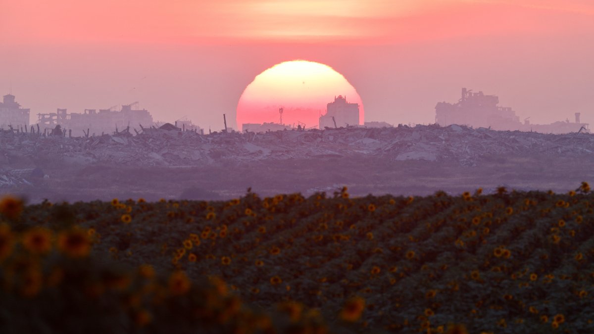 A sunflower field blooms on the Israeli side of the border with Gaza, near Kibbutz Nahal Oz, Israel, May 30, 2026. (Reuters Photo)