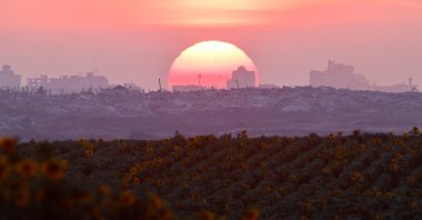 A sunflower field blooms on the Israeli side of the border with Gaza, near Kibbutz Nahal Oz, Israel, May 30, 2026. (Reuters Photo)
