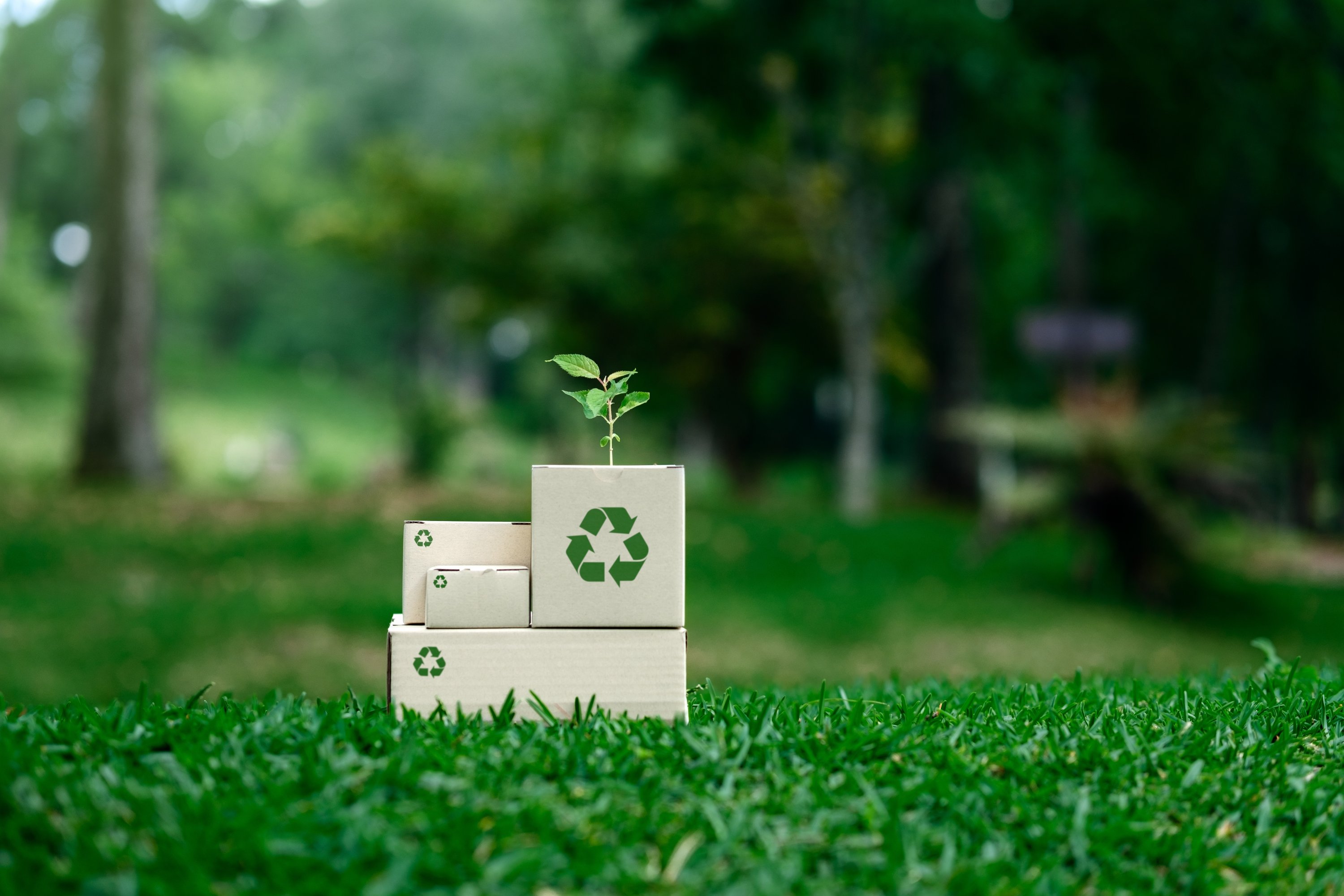 Istanbul’s Zero Waste Festival spotlights sustainability, culture