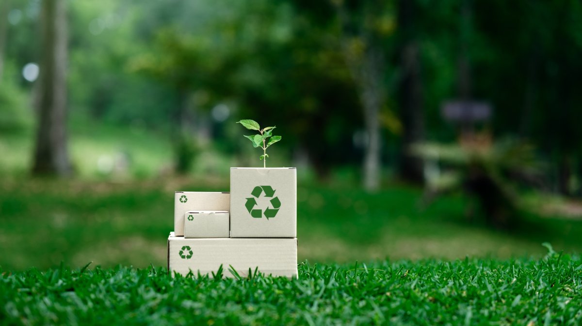Environmentally friendly packaging, recycling, reducing, reusing, environmental assortment. (Shutterstock Photo)