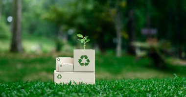 Environmentally friendly packaging, recycling, reducing, reusing, environmental assortment. (Shutterstock Photo)