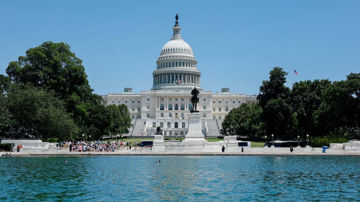 A duck swims in the Capitol Reflecting Pool, near the U.S. Capitol building in Washington, D.C., U.S., June 3, 2026. (Reuters Photo)