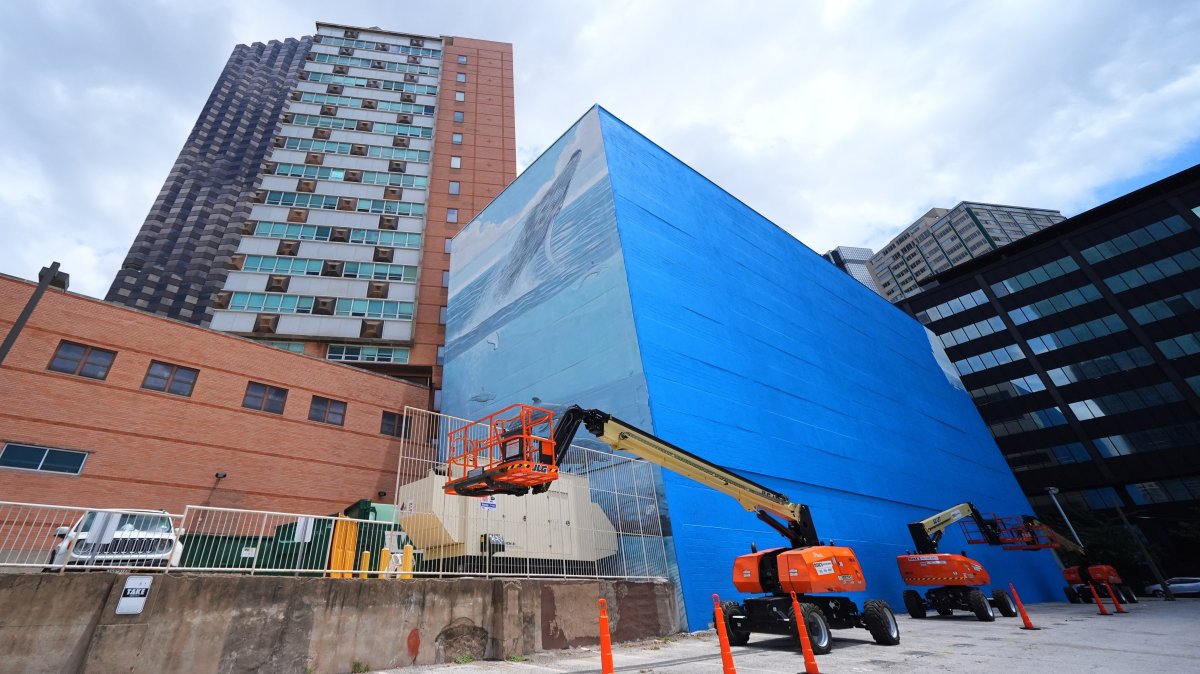 A section of a mural, known as the "Whaling Wall 82," created by artist Wyland, is visible as part of it on the right side of the building was painted over in Dallas, U.S., May 18, 2026. (AP Photo)