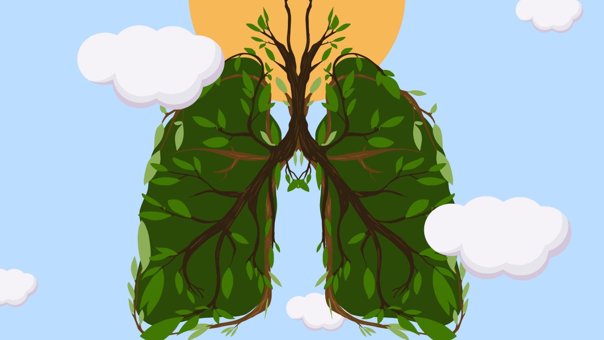 "According to the World Health Organization, tobacco kills more than 8 million people every year. Lung cancer remains one of its deadliest consequences." (Getty Images Photo)