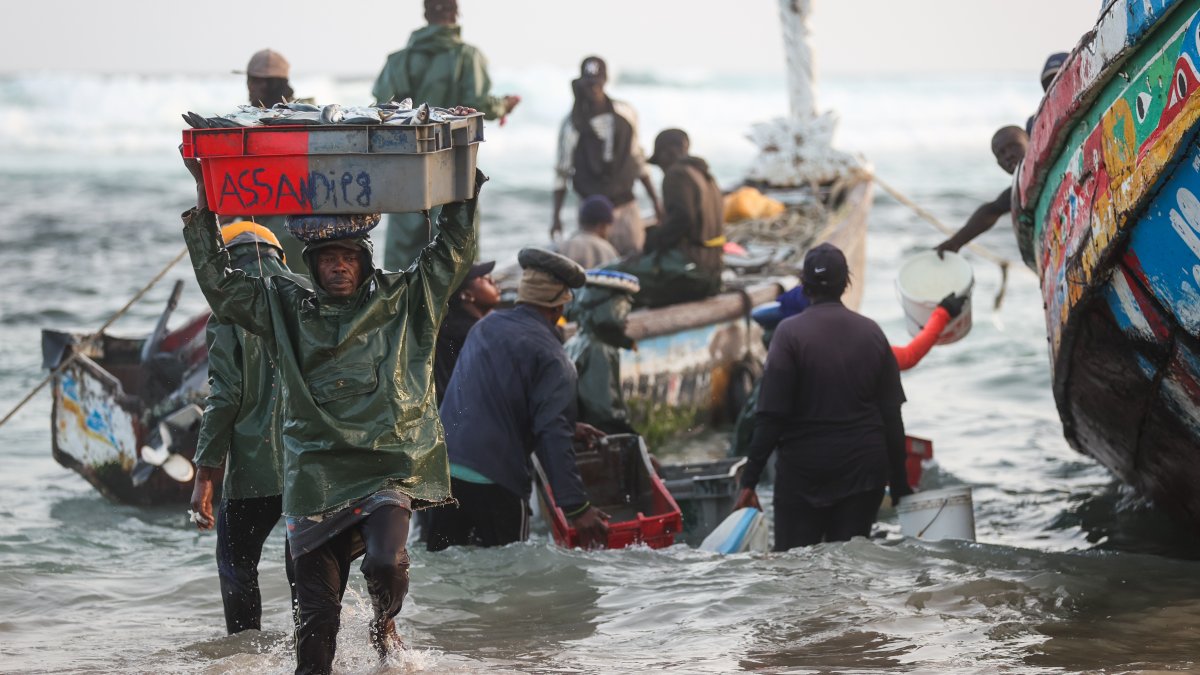 Senegal's coastal communities confront threats to fishing lifeline