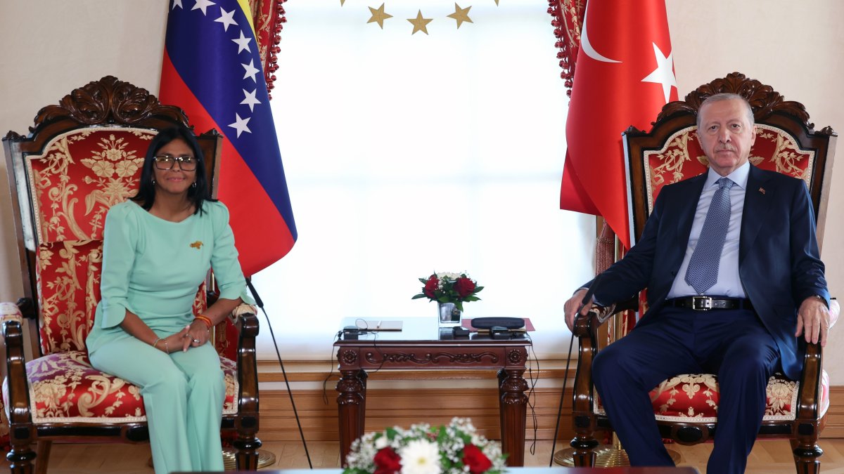 President Erdoğan meets Venezuela's interim president in Istanbul