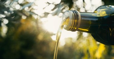 A Turkish olive oil-producing couple has gained global recognition by winning multiple international awards for their single-variety Kilis olive oil. (Shutterstock Photo)