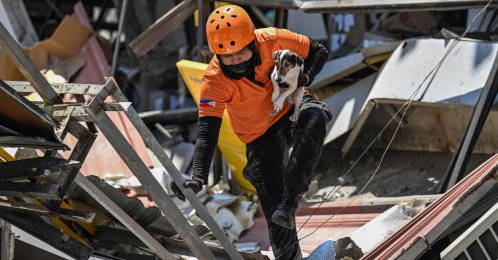 An emergency worker carries a rescue dog while conducting search and rescue operations in a collapsed building after a 7.8 magnitude earthquake in General Santos, Philippines, June 9, 2026. (AFP Photo)