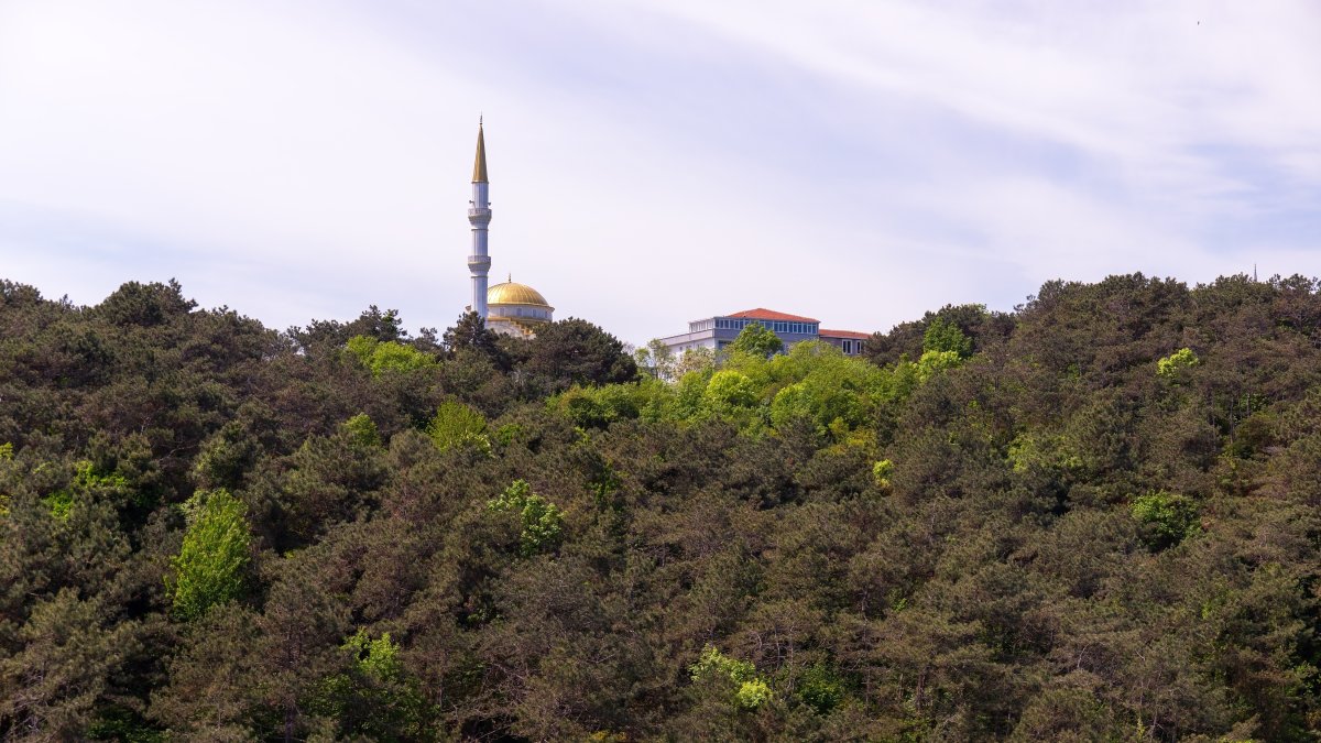 A view of a mosque surrounded by lush greenery at Derbent Park, Istanbul, Türkiye, Dec. 5, 2025. (Shutterstock Photo)