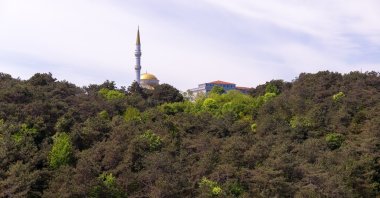 A view of a mosque surrounded by lush greenery at Derbent Park, Istanbul, Türkiye, Dec. 5, 2025. (Shutterstock Photo)