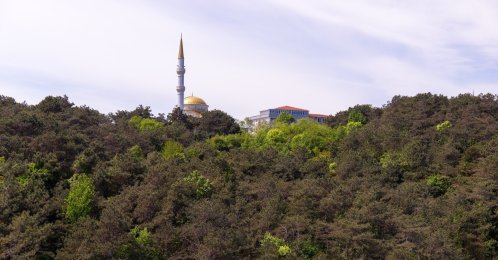 A view of a mosque surrounded by lush greenery at Derbent Park, Istanbul, Türkiye, Dec. 5, 2025. (Shutterstock Photo)