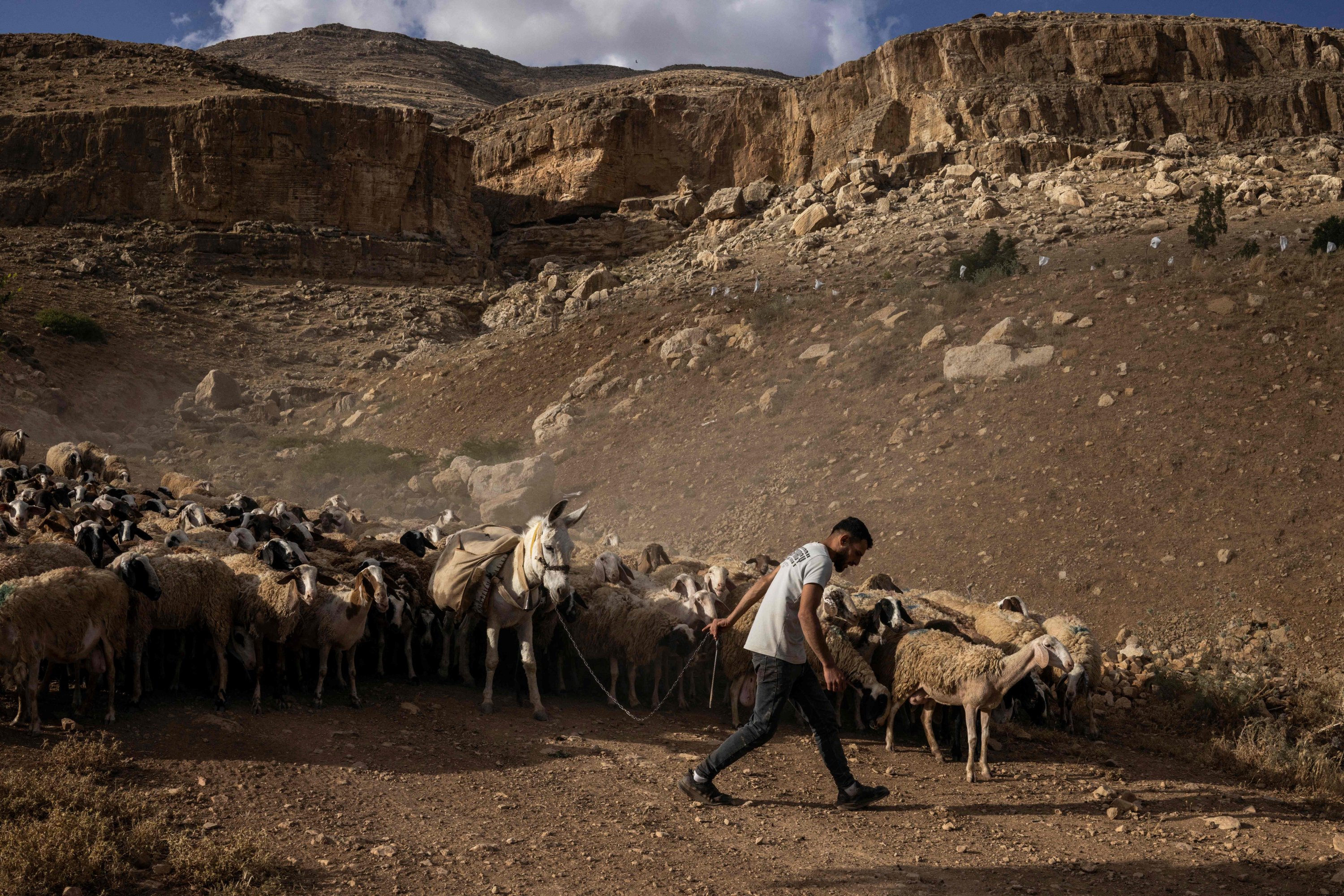 West Bank farmers left without water as Israel destroys infrastructure