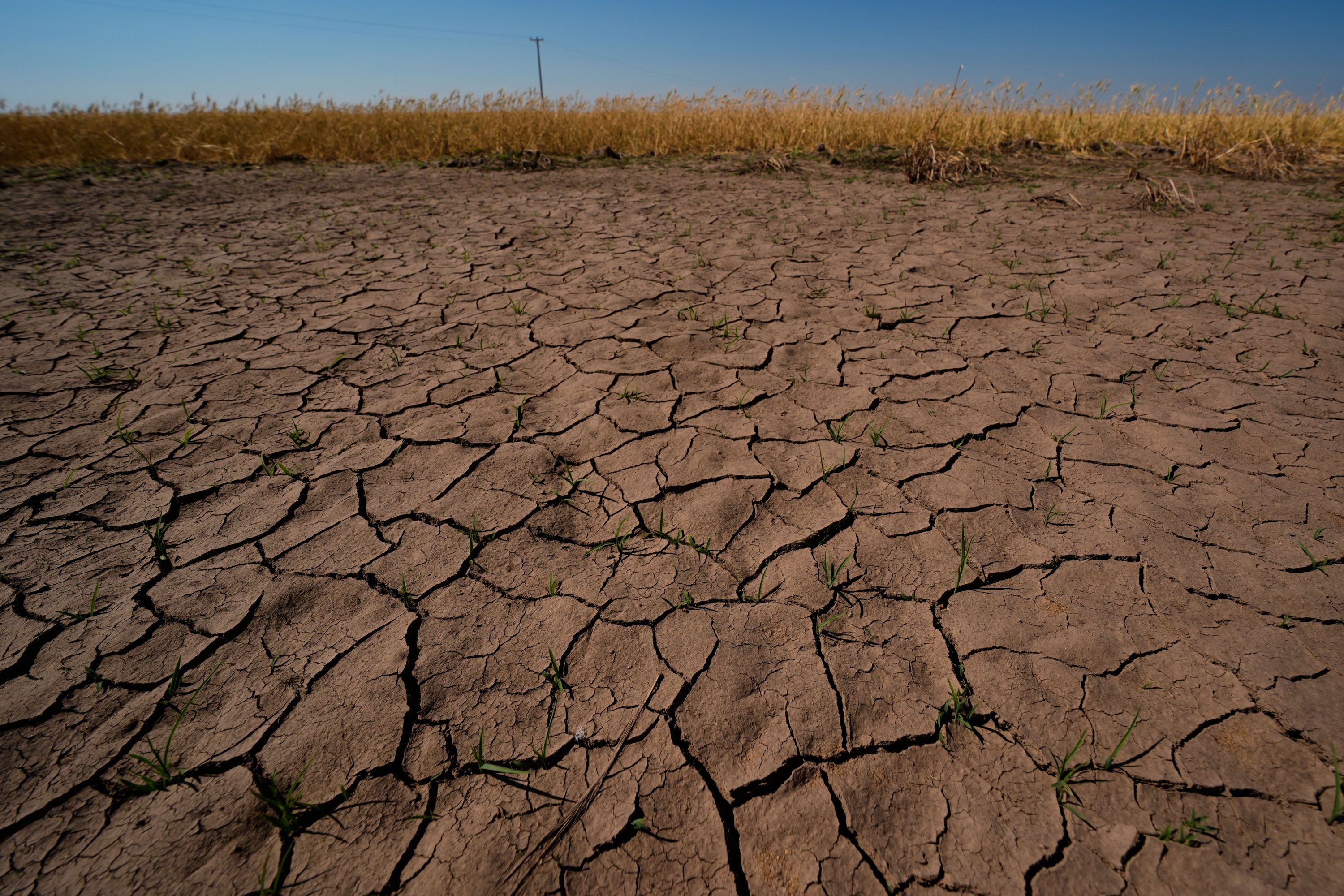 El Nino is here and could reach historic intensity, scientists warn