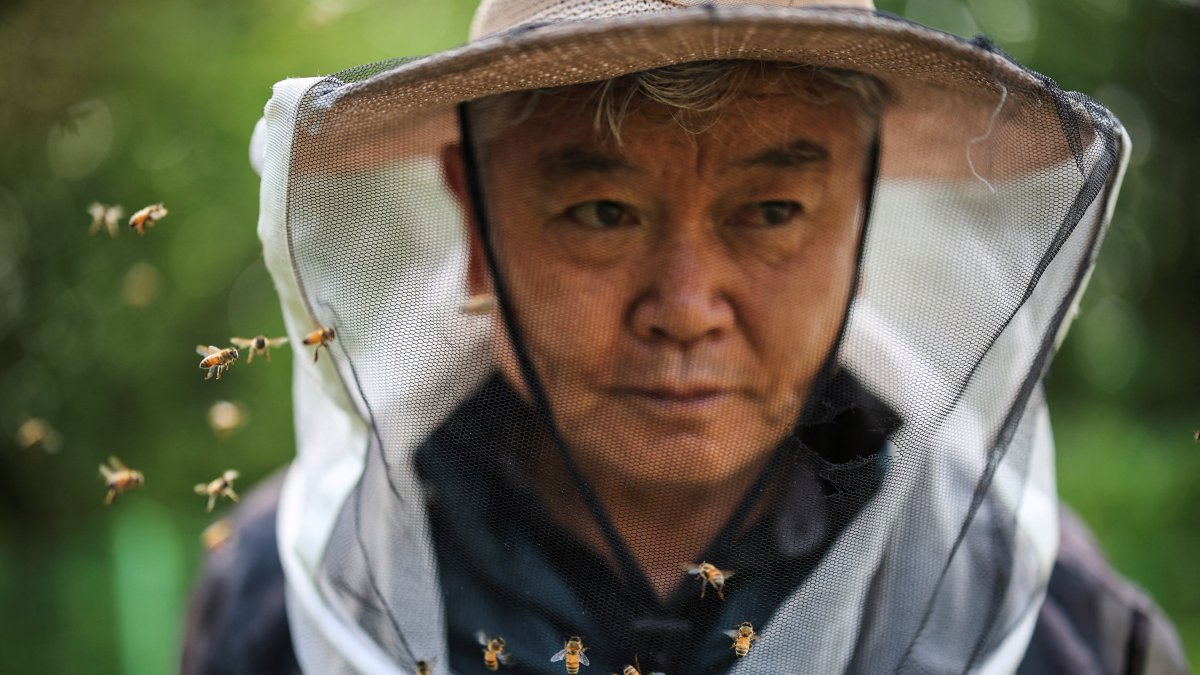 Lifetime with bees now tested by warming world in South Korea