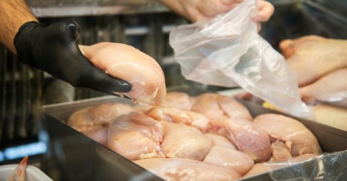 According to prosecutors, authorities are examining whether several poultry companies and their executives coordinated pricing, supply and sales policies in a manner that distorted market conditions and harmed consumers. (Shutterstock Photo)
