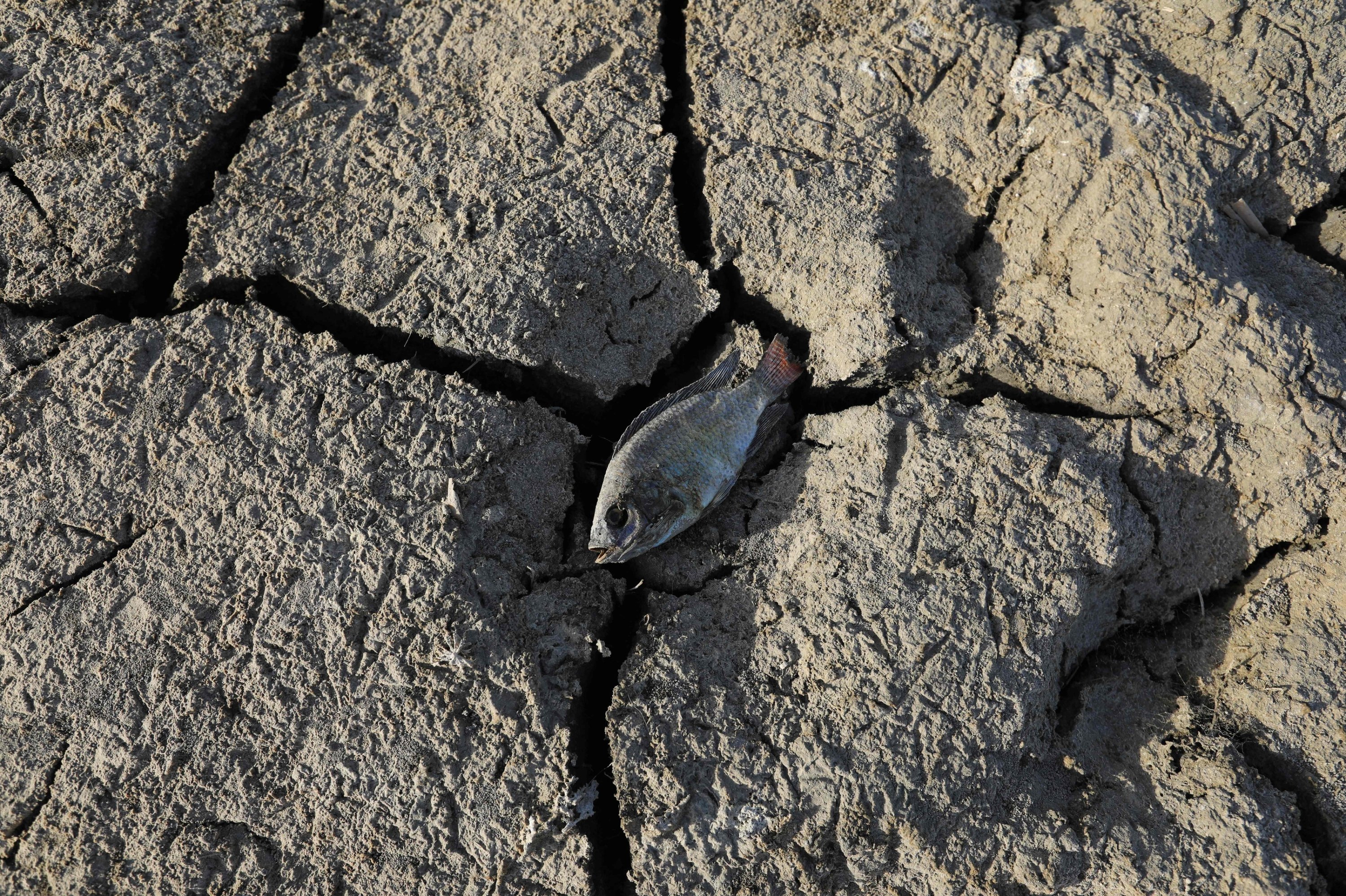 Critical years ahead as Earth heats faster than expected: Study