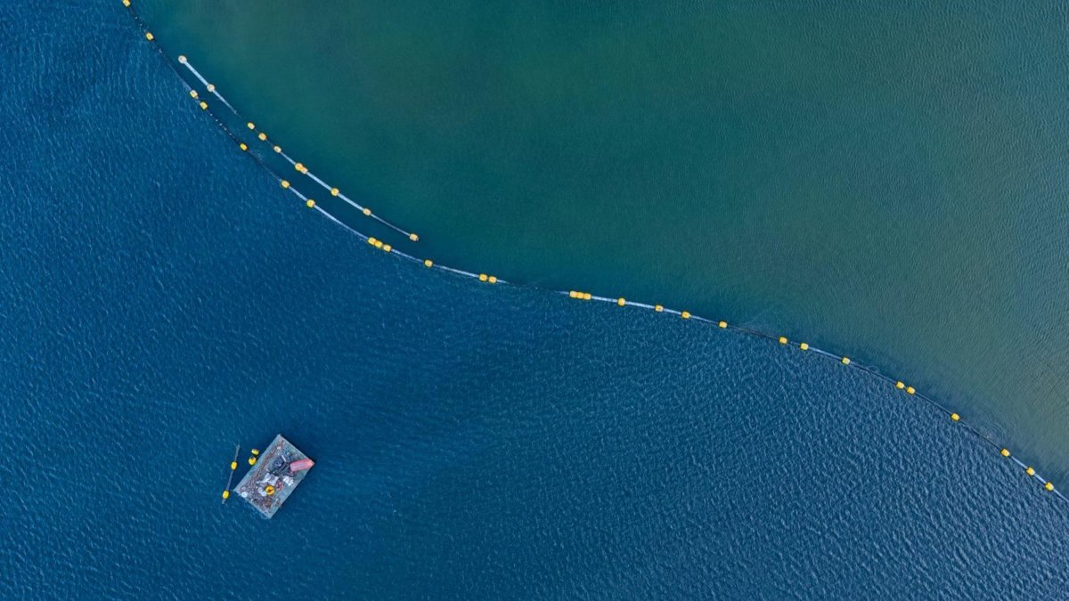 An aerial view shows the contrast between cleaned and untreated sections of the Gulf of Izmit, Kocaeli, Türkiye, July 11, 2025. (AA Photo)