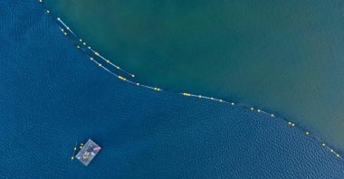An aerial view shows the contrast between cleaned and untreated sections of the Gulf of Izmit, Kocaeli, Türkiye, July 11, 2025. (AA Photo)