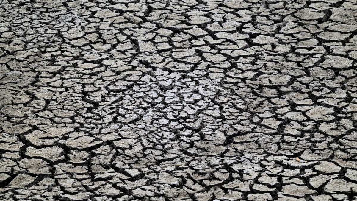 The dried-up bed of Lake Velence in a boat marina near Pakozd, Hungary, June 5, 2026. (EPA Photo)