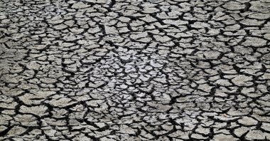 The dried-up bed of Lake Velence in a boat marina near Pakozd, Hungary, June 5, 2026. (EPA Photo)