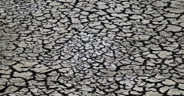The dried-up bed of Lake Velence in a boat marina near Pakozd, Hungary, June 5, 2026. (EPA Photo)