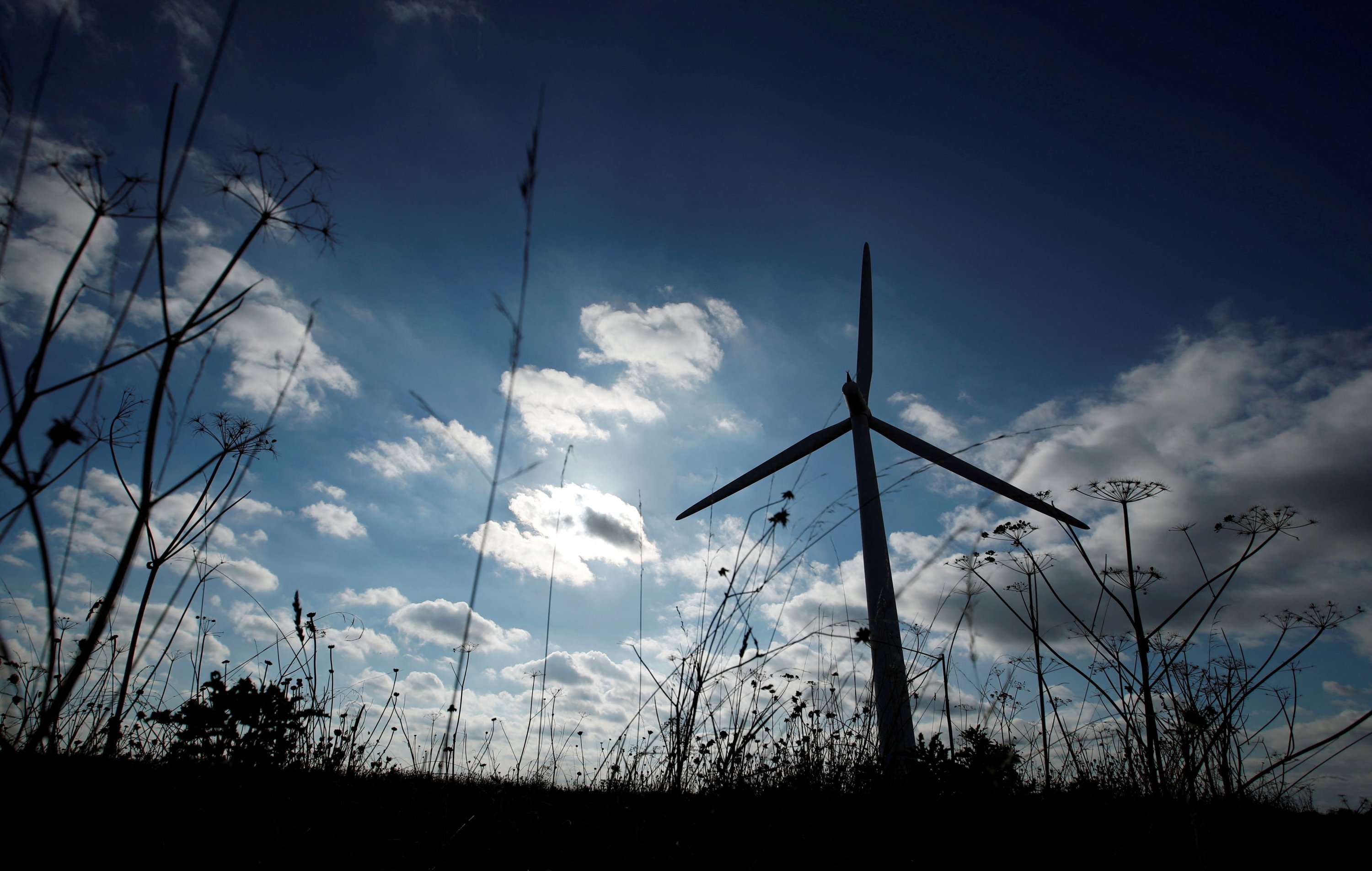 COP31 in Türkiye seen as critical point for advancing energy transition