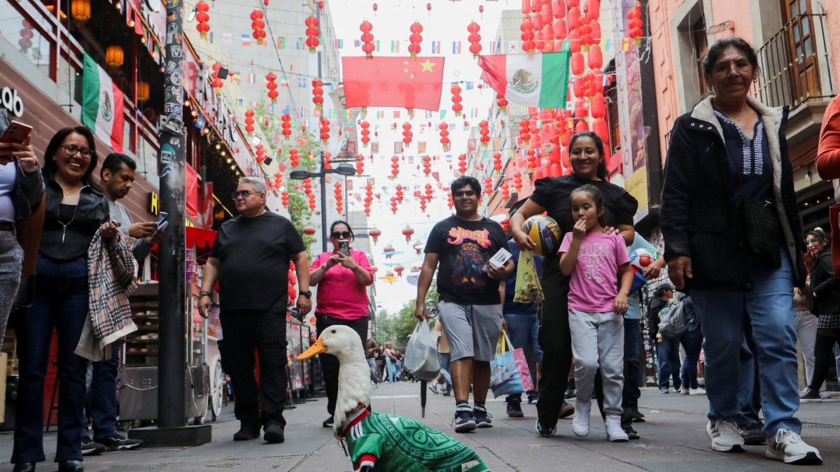 Merlin, a duck wearing a Mexico national football team ('El Tri') jersey, that shot to fame after a chance encounter on Reforma Avenue, went viral following the FIFA 2026 match between Mexico and South Africa, walks in Chinatown, Mexico City, Mexico, June 16, 2026. (Reuters Photo)