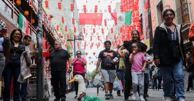 Merlin, a duck wearing a Mexico national football team ('El Tri') jersey, that shot to fame after a chance encounter on Reforma Avenue, went viral following the FIFA 2026 match between Mexico and South Africa, walks in Chinatown, Mexico City, Mexico, June 16, 2026. (Reuters Photo)