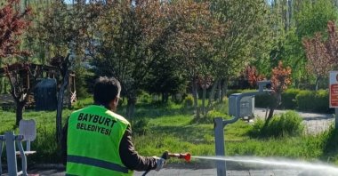 
Municipal teams carry out spraying operations against ticks in a park to help protect public health, Bayburt, Türkiye, June 8, 2026. (AA Photo)
