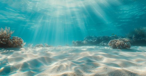 Sunlight beams penetrate the clear blue water, illuminating the sandy ocean floor and coral formations below. (Shutterstock Photo)