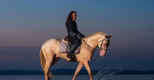 A woman rides an Akhal Teke horse, Ankara, Türkiye, June 1, 2026. (AA Photo)