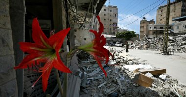 A potted plant flowers outside a damaged building hit by Israeli military strikes on a neighborhood, Tyre, Lebanon, June 23, 2026. (AFP Photo)