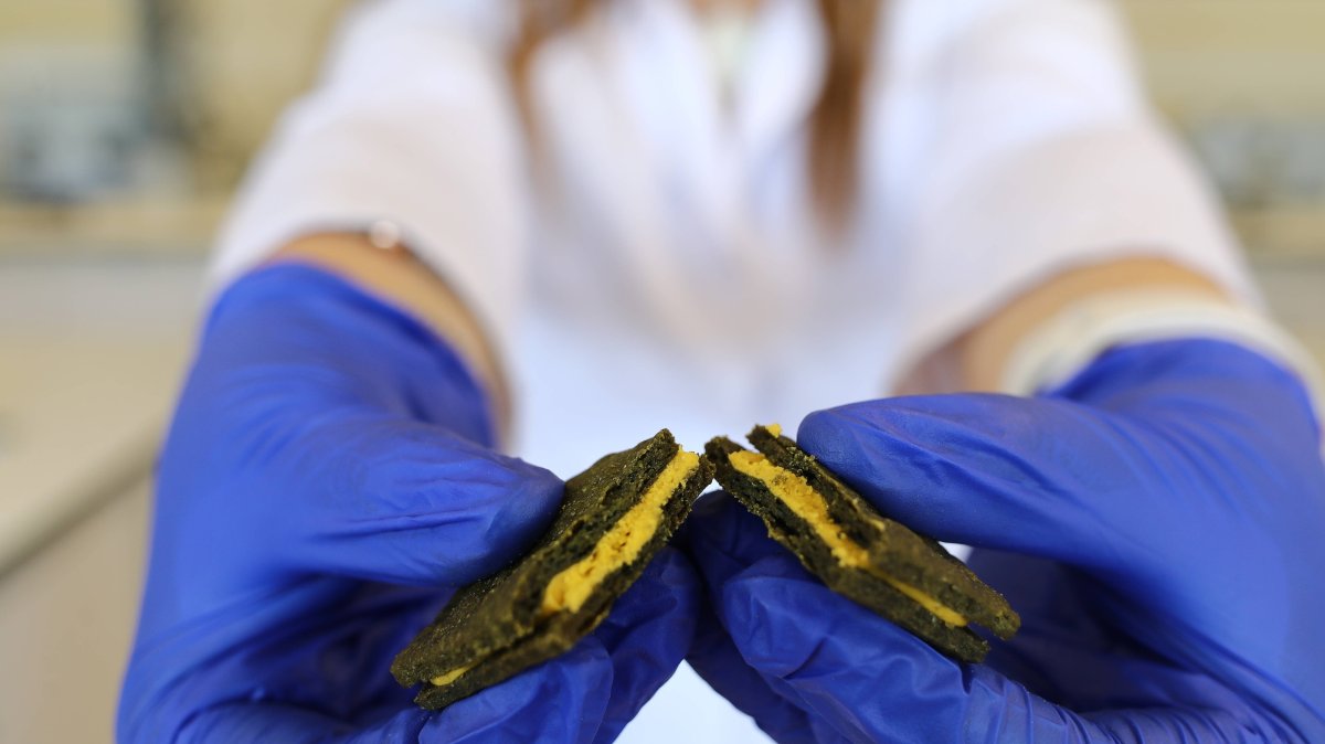 A researcher displays a nutrient-rich biscuit developed with her teammates at Gaziantep University in Gaziantep, southeastern Türkiye, June 22, 2026. (AA Photo)