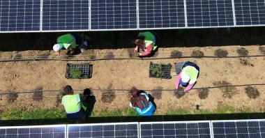 An aerial view shows solar panels installed in the northern province of Samsun, Türkiye, June 16, 2026. (AA Photo)