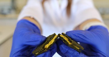 A researcher displays a nutrient-rich biscuit developed with her teammates at Gaziantep University in Gaziantep, southeastern Türkiye, June 22, 2026. (AA Photo)