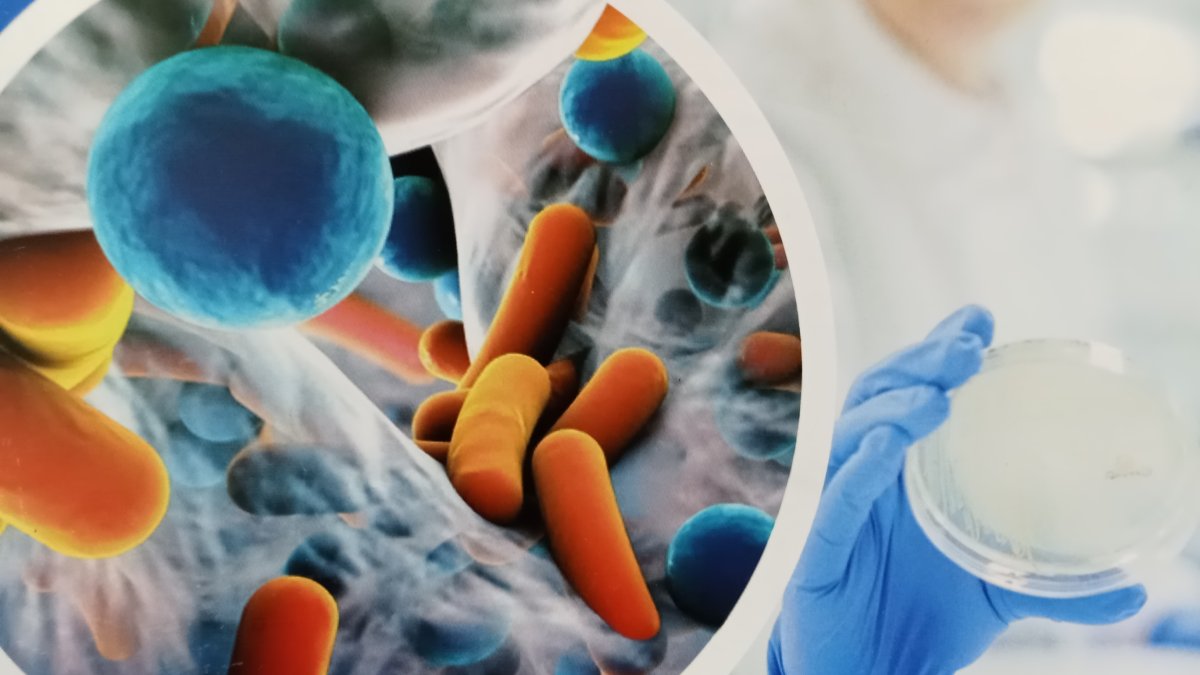 Commonly used antibiotics are losing their efficacy. (Shutterstock Photo)