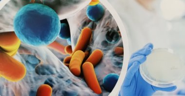 Commonly used antibiotics are losing their efficacy. (Shutterstock Photo)