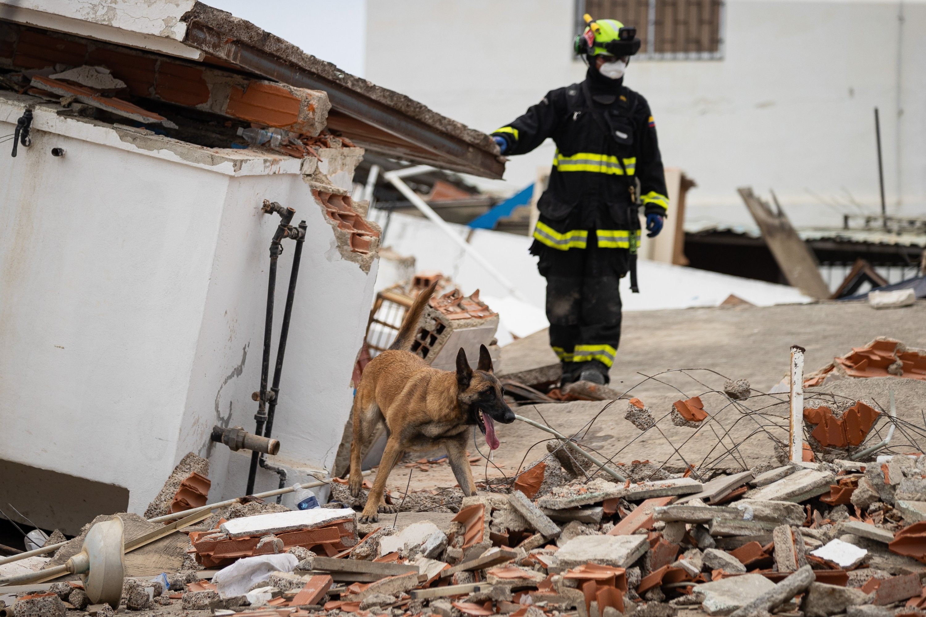 2026年6月28日、ベネズエラのカティア・ラ・マルで地震の被害を受けた地域で行方不明者を捜索するコロンビア人の救助隊員と捜索犬。（EPA写真）