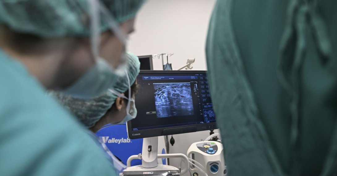 Doctors monitor imaging during a cryoablation procedure used to treat breast cancer without surgery, Istanbul, Türkiye, June 18, 2026. (AA Photo) 