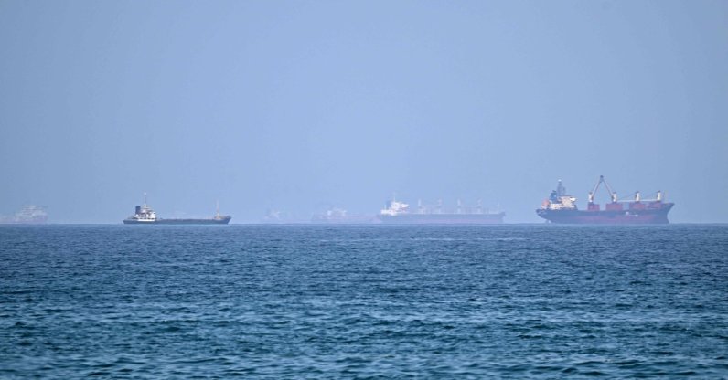Vessels are pictured off coast of the Khor Fakkan Container Terminal, the only natural deep-sea port in the region and one of the major container ports in Sharjah Emirate, along the Gulf of Oman, June 28, 2026. (AFP Photo)