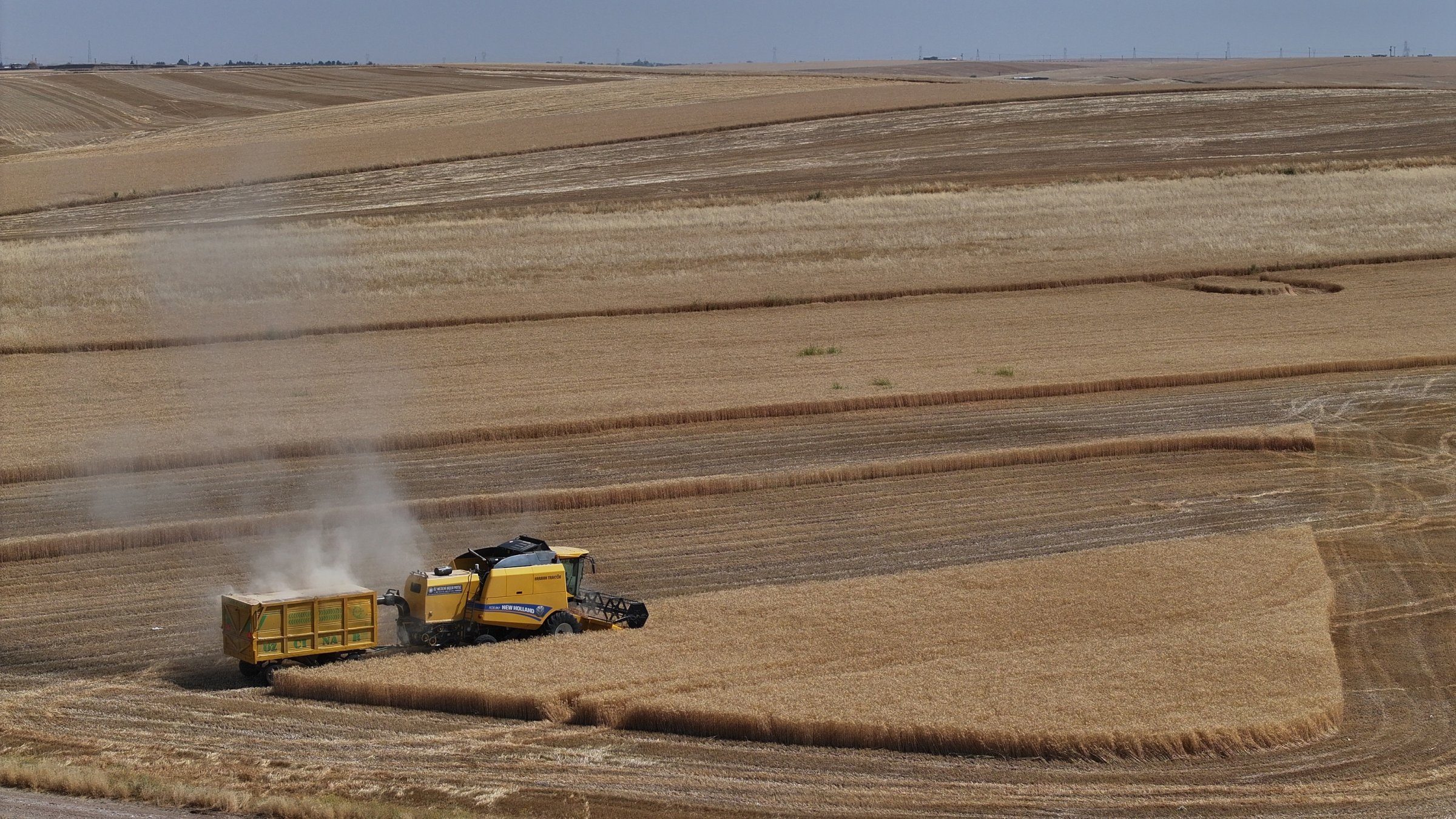 Farmers harvest wheat as the grain and pulse harvest season continues, Diyarbakır, Türkiye, June 24, 2026. (AA Photo)