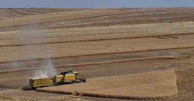Farmers harvest wheat as the grain and pulse harvest season continues, Diyarbakır, Türkiye, June 24, 2026. (AA Photo)