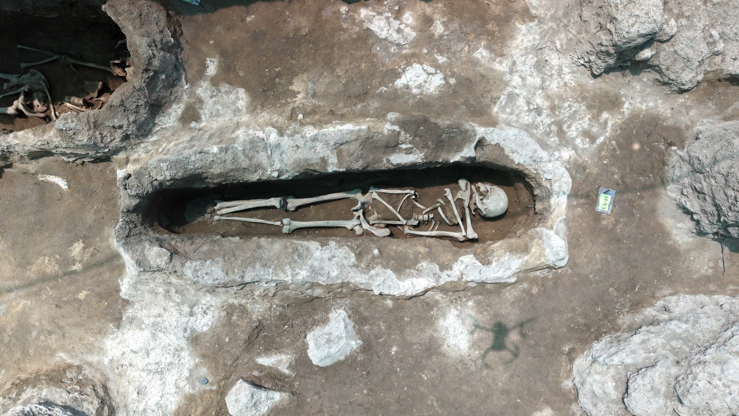 A skeleton recovered from graves identified during excavations at a site in Malazgirt district believed to be a Seljuk martyr cemetery, Muş, Türkiye, July 3, 2026. (AA Photo)