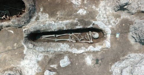 A skeleton recovered from graves identified during excavations at a site in Malazgirt district believed to be a Seljuk martyr cemetery, Muş, Türkiye, July 3, 2026. (AA Photo)