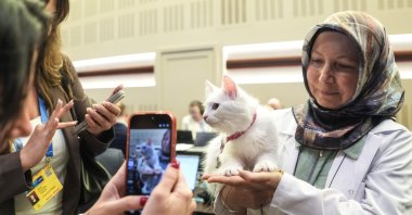Journalists take photos of Lokum, a Turkish Angora cat, during the 36th NATO summit, Ankara, Türkiye, July 8, 2026. (AA Photo)