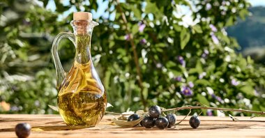 A bottle of extra virgin olive oil and an olive branch on a wooden table in an olive grove. (Shutterstock Photo)