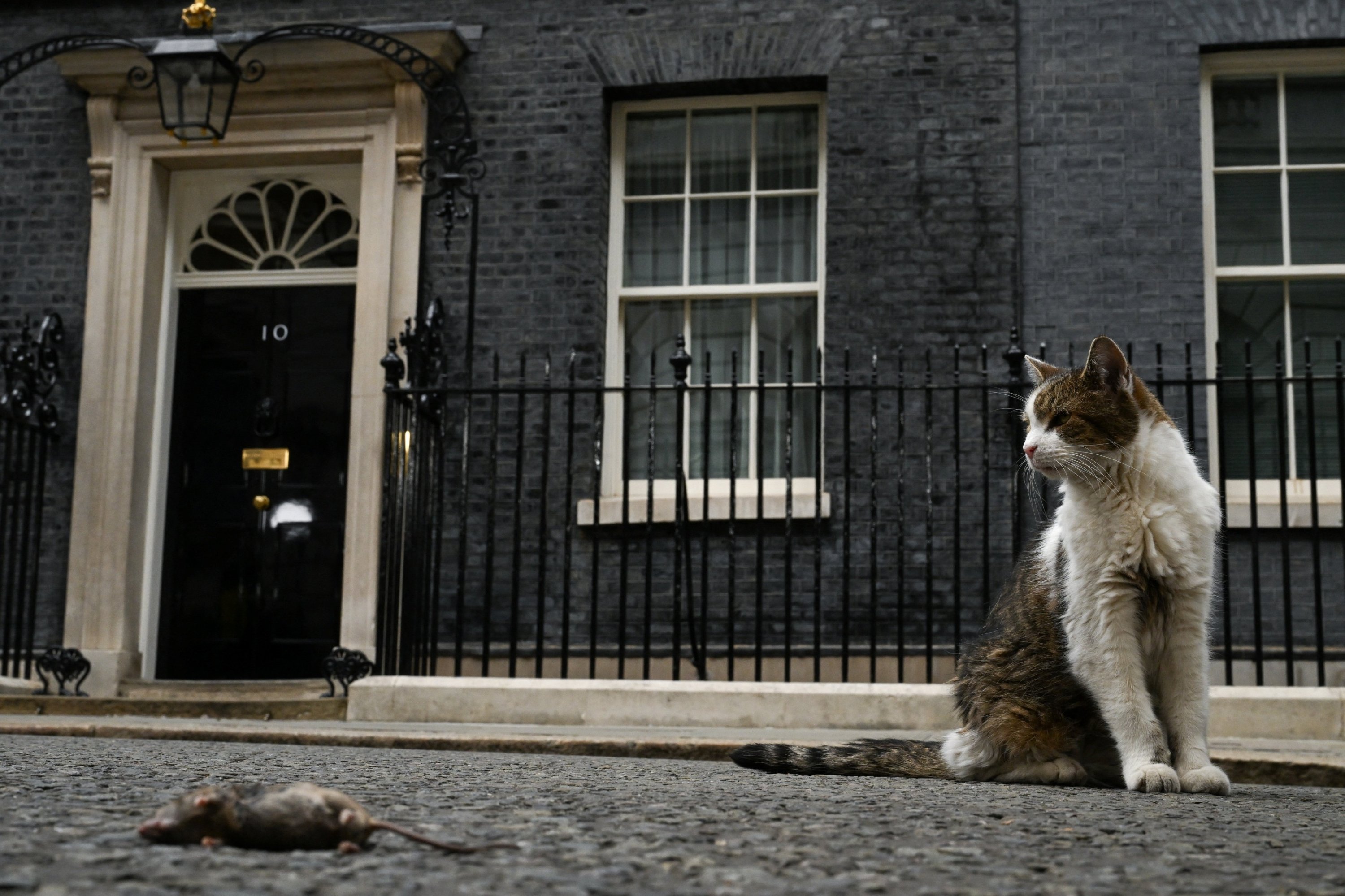Burnham’s hope campaign ends where the Cabinet begins