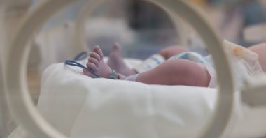 A baby's feet are visible in a hospital incubator. (Shutterstock Photo)