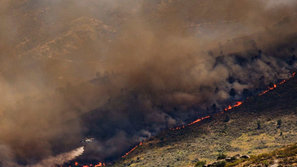 A wall of flames advances as a wildfire burns near Burgohondo, Avila province, Spain, July 23, 2026. (AP Photo)
